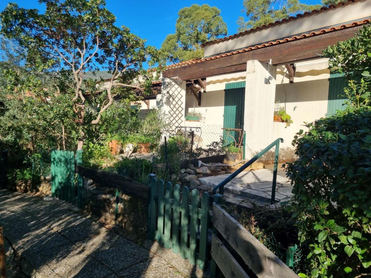 Studio Mas De La Plage By Interhome Cavalaire-sur-Mer Kültér fotó